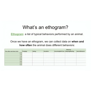 نحوه رسم و اهمیت اتوگرام