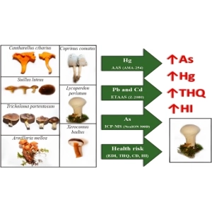 قارچ‌های سمی و خطرناک