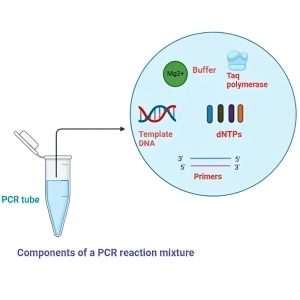 انواع pcr و کاربرد آنها