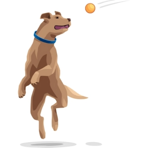 مفاهیم پایه در رفتارشناسی جانوران