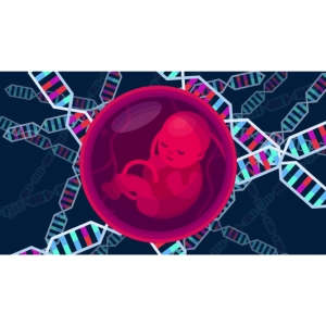 نقش ژن‌ها در تکوین اندام‌ها