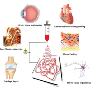 بافت‌هایی که ترمیم می‌شوند