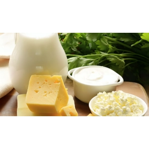 میکروبیولوژی غذایی: نقش میکروب‌ها در تهیه پنیر، ماست، ترشی