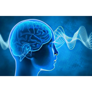 افزایش تمرکز و عملکرد مغز