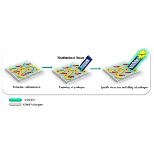 نانو سنسورها