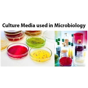 انواع محیط‌ های کشت باکتری