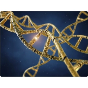 نانو بیوتکنولوژی چیست؟