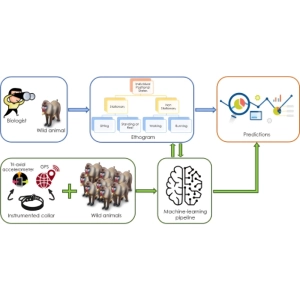 اتوگرام یا رفتارنگار چیست؟