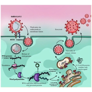 آنتی‌ژن، پاتوژن و میزبان چیست؟