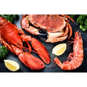 کیتوزان چیست