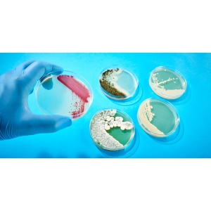 روش صحیح کار با میکروارگانیسم‌ها