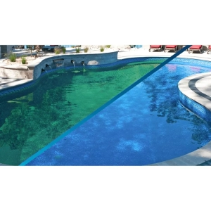 رفع جلبک استخر