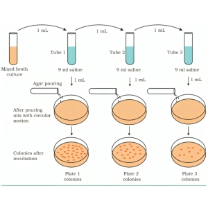 روش‌های کشت میکروبی: محیط‌های کشت انتخابی، افتراقی و غنی