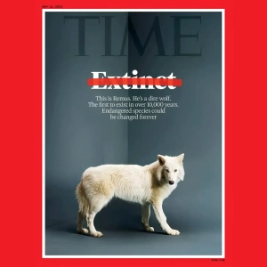 گرگ دایرولف