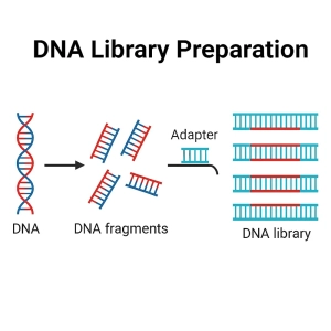 تهیه کتابخانه ژنی