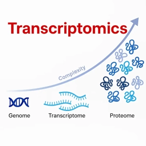 ترانسکریپتومیکس چیست