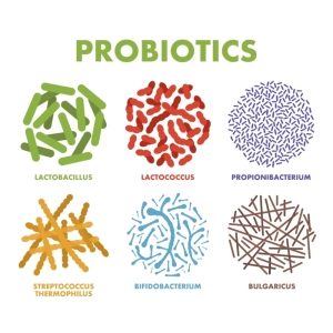 پروبیوتیک چیست؟