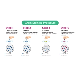 رنگ‌آمیزی گرم