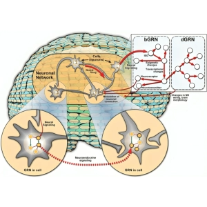 ارتباط سلول‌ها با رفتارشناسی جانوران