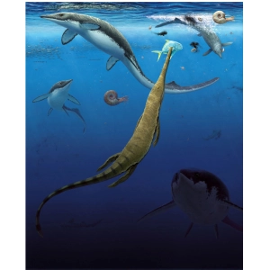 اولین اکوسیستم چهارپایان دریایی