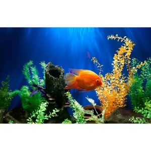 اب مقطر برای اکواریوم