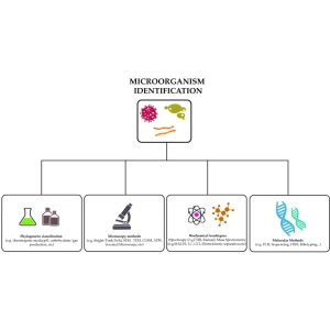 شناسایی میکروب ها با تست‌های بیوشیمیایی