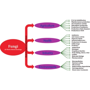 قارچ‌ها و بیوتکنولوژی
