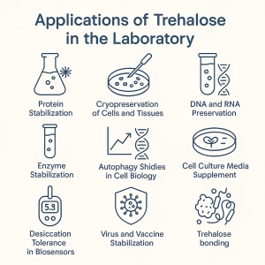 ترهالوز چیست