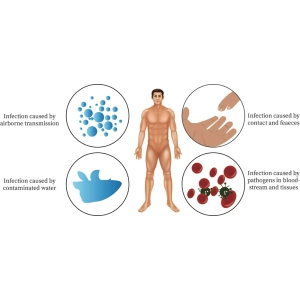 بیماری‌های منتقله از راه تماس، هوا، آب، غذا