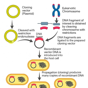 کلونینگ چیست