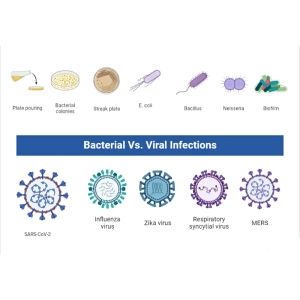 تفاوت عفونت ویروسی و باکتریایی