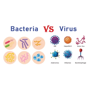 تفاوت ویروس و باکتری چیست؟