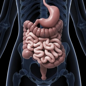 کیسه یوروستومی چیست؟