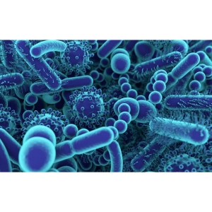 باکتری‌های بیماری‌زا