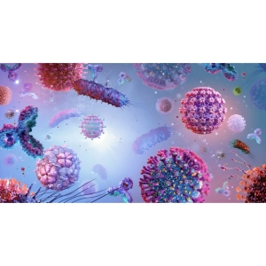 تفاوت باکتری، ویروس و قارچ