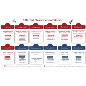 آنتی‌بیوتیک‌ها و انواع آن‌ها (بتا-لاکتام، ماکرولید و ...)