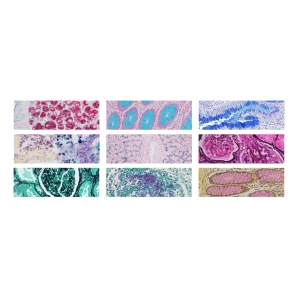 رنگ‌آمیزی‌های تخصصی در بافت‌شناسی