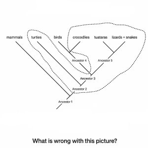 تفسیر درخت‌های فیلوژنتیک
