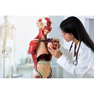 مولاژ بدن چیست