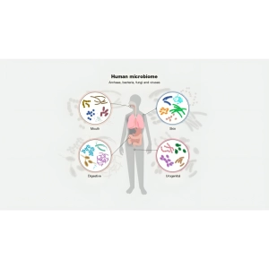 میکروبیوم چیست و چه تاثیری بر سلامت انسان دارد؟