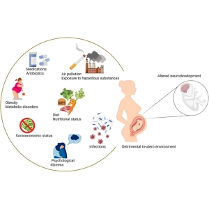 اثر عوامل محیطی بر رشد جنین