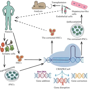 کاربرد کریسپر