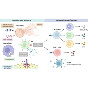 قارچ و ایمنی بدن