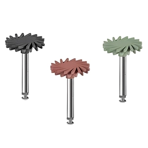 دیسک سیلیکونی خورشیدی آمالگام 6 عددی eve