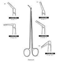 پاتس دیتریچ
