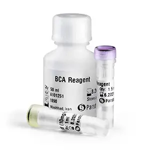 کیت انداره گیری توتال پروتئین BCA