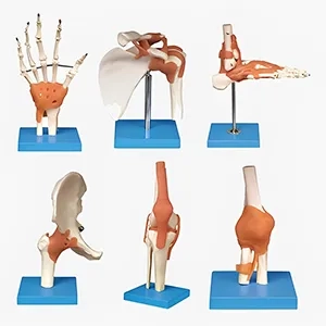 مولاژ سری مفاصل ۶ عددی