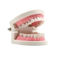 مولاژ دندان