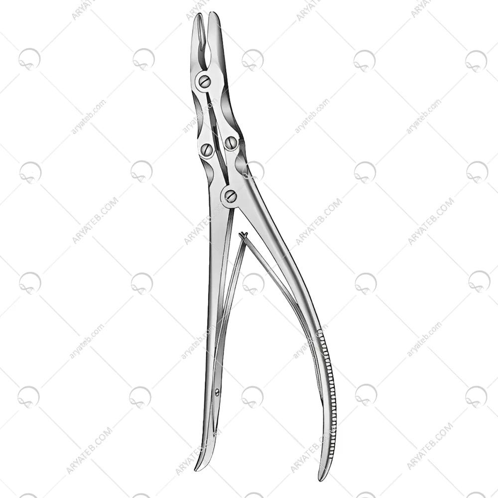 رانژور استایل کرو