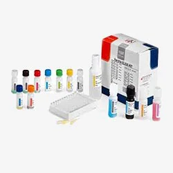 محیط کشت B G DEXTROSE AGAR SNYDER TEST AGAR